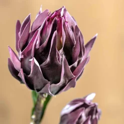 Artischocke FIORE 43 cm lila