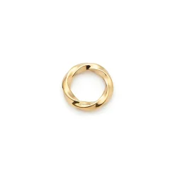 Edelstahlring LOTTI Clip & Mix gold