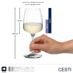 Kelchglasset CESTI 12-teilig + Poliertuch