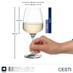Kelchglasset CESTI 12-teilig + Poliertuch