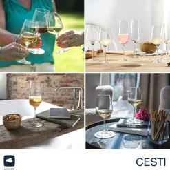 Kelchglasset CESTI 12-teilig + Poliertuch