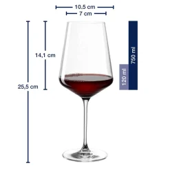 Kelchgläser PUCCINI 12-teilig