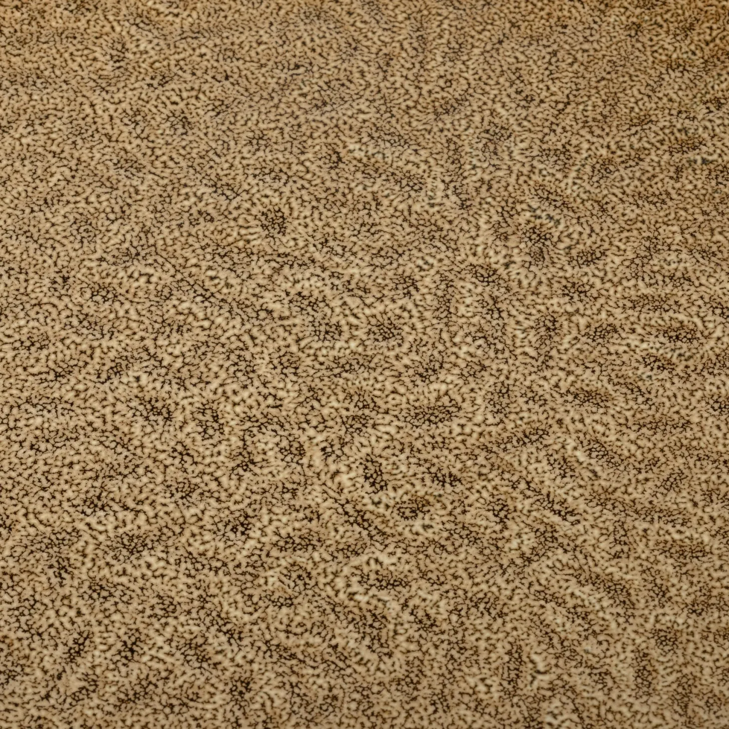 Keramikteller MATERA 27 cm beige 6er-Set