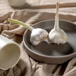 Keramikteller ROMA 20 cm beige tief 6er-Set