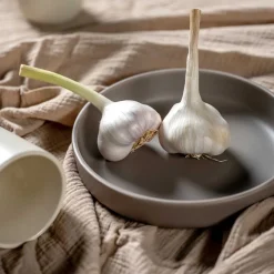 Keramikteller ROMA 20 cm taupe tief 6er-Set