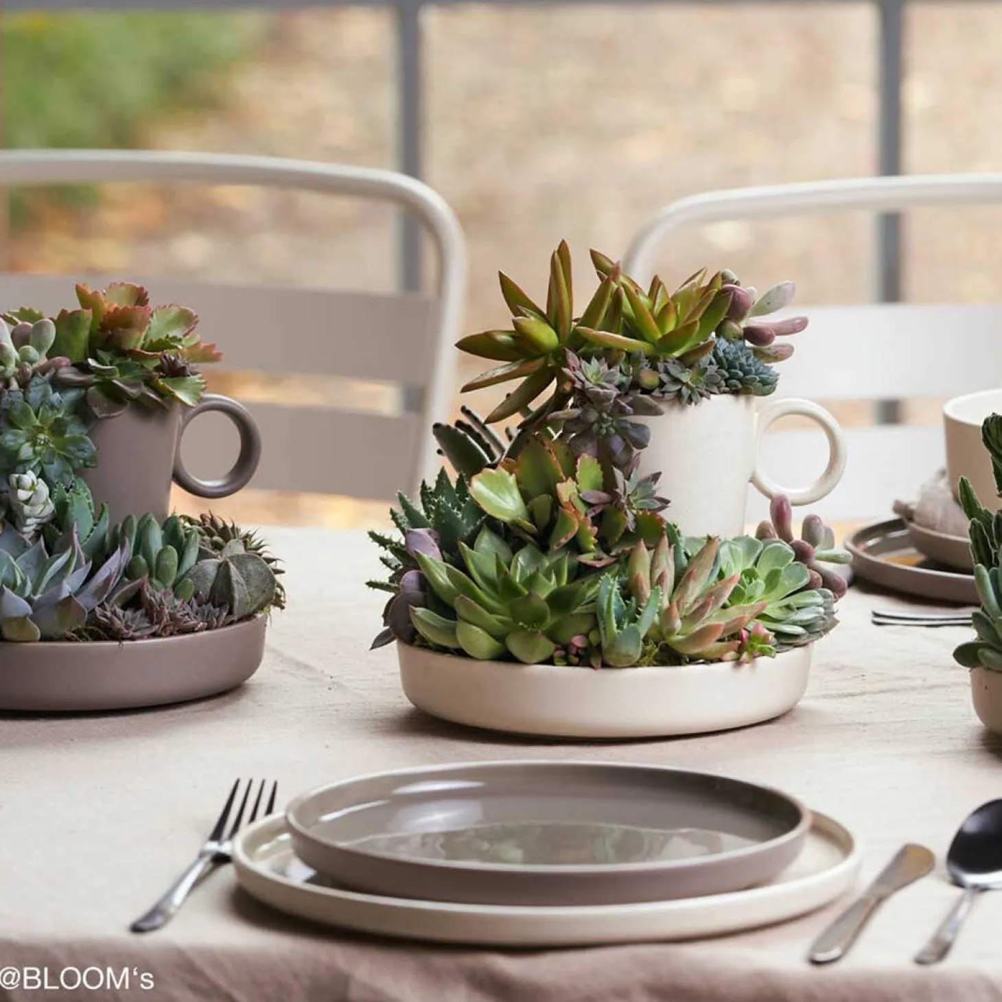 Keramikteller ROMA 20 cm taupe tief 6er-Set