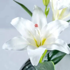 Lilie FIORE 38 cm weiß