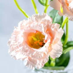 Lysianthus FIORE 78 cm apricot