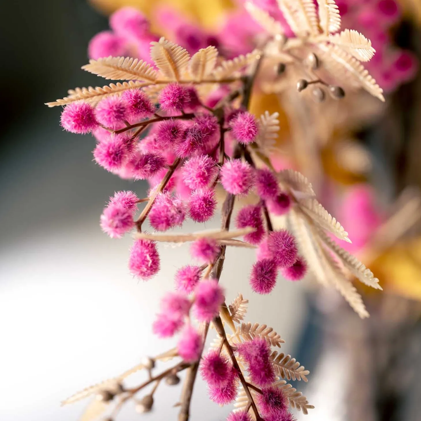 Mimose PALAZZO 70 cm viola