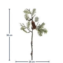 Pinienzweig 56cm AUTENTICO