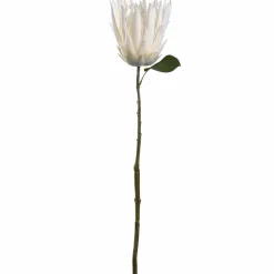 Prothea FIORE 72 cm weiß