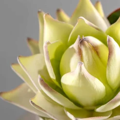 Prothea FIORE 56 cm weiß