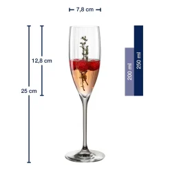 Sektglas POESIA 250 ml grau 6er-Set