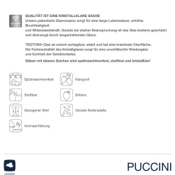 Sektglas PUCCINI 280 ml 6er-Set