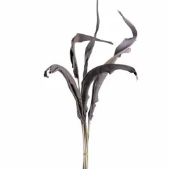 Strelizienblätter FIORE 80 cm taupe 5er-Set