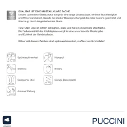 Weißweinglas PUCCINI 560 ml 6er-Set + Poliertuch