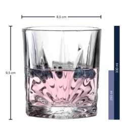 Whiskybecher DOF CAPRI 330 ml 2er-Set mit 8 Kühlsteinen